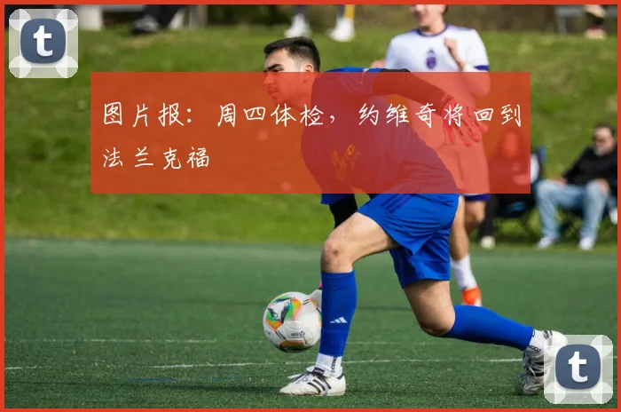 图片报：周四体检，约维奇将回到法兰克福