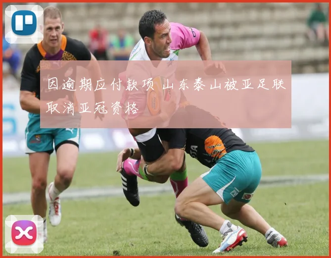 因逾期应付款项 山东泰山被亚足联取消亚冠资格