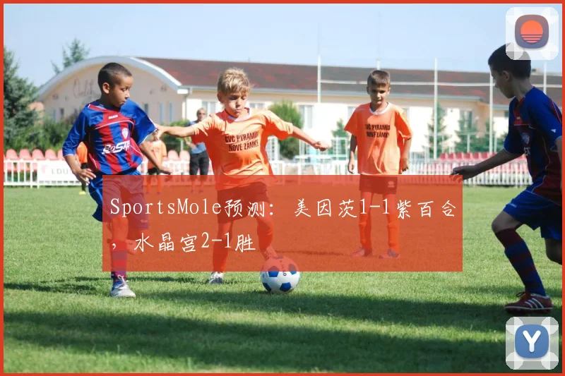 SportsMole预测：美因茨1-1紫百合，水晶宫2-1胜