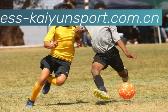 开云体育发展历程